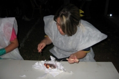 img_4942-copiar