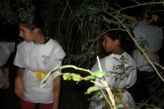 img_4956-copiar