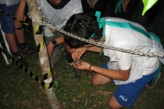 img_4961-copiar