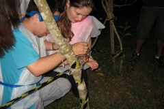 img_4965-copiar