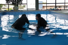 img_2444-cpia