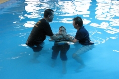 img_2787-800x600