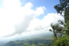 dsc08224
