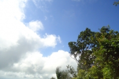 dsc08225