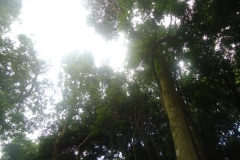 dsc08267