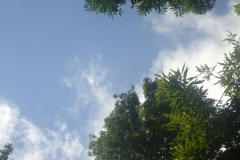 dsc08280