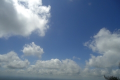 dsc08319