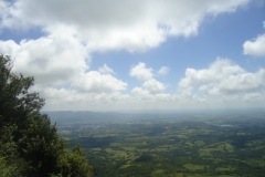dsc08324