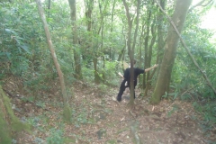 dsc08342