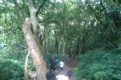 dsc08362