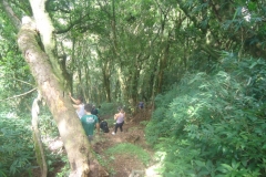 dsc08365