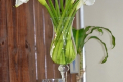 DSC0069