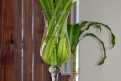 DSC0074