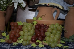 _DSC0552