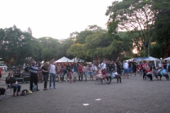 dia-da-biblia-2012-44