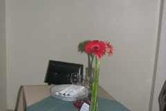 jantardecasais-2012-97