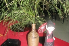 jantaroriental-2012-28