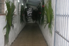 jantaroriental-2012-42