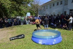 DSC0154