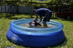 DSC0202