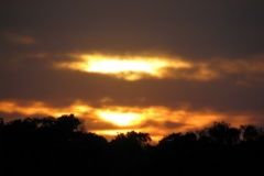 img_3136-800x600