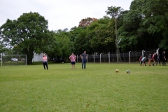 _DSC0551 (Copy)