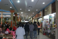 visitajovensportoalegreabril2012-30-800x600