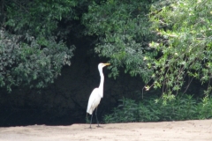 img_3471-800x600