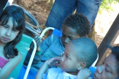 img_3595-800x600