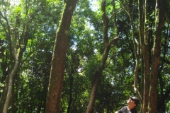 dsc07305