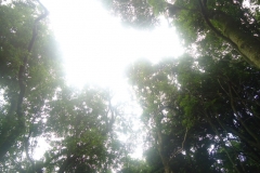 dsc08266