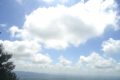 dsc08318