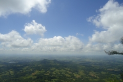 dsc08320