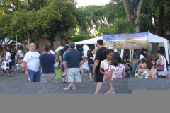 dia-da-biblia-2012-7