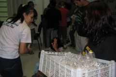 tarde-da-crianca-dez2012-127