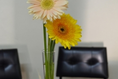 dsc_1234